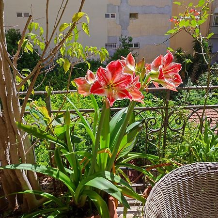 דירות פלרמו Cuba'S Art House מראה חיצוני תמונה